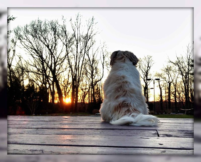 feliz quarta sunset.jpg